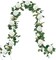 Pack Artificial White Rose Vines Floral Garlands Total 19.5 Ft Fake Vine Silk Flower Garland for Indoor Outdoor Home
